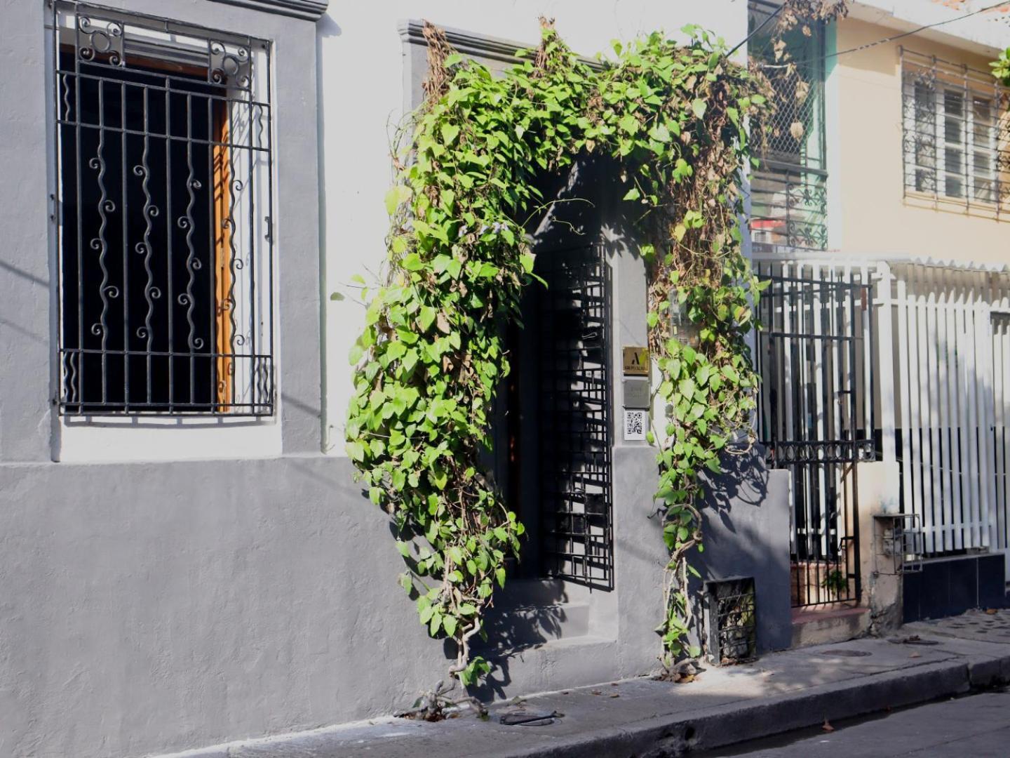 Casa Charlotte - Alma Hotels — Photos 3